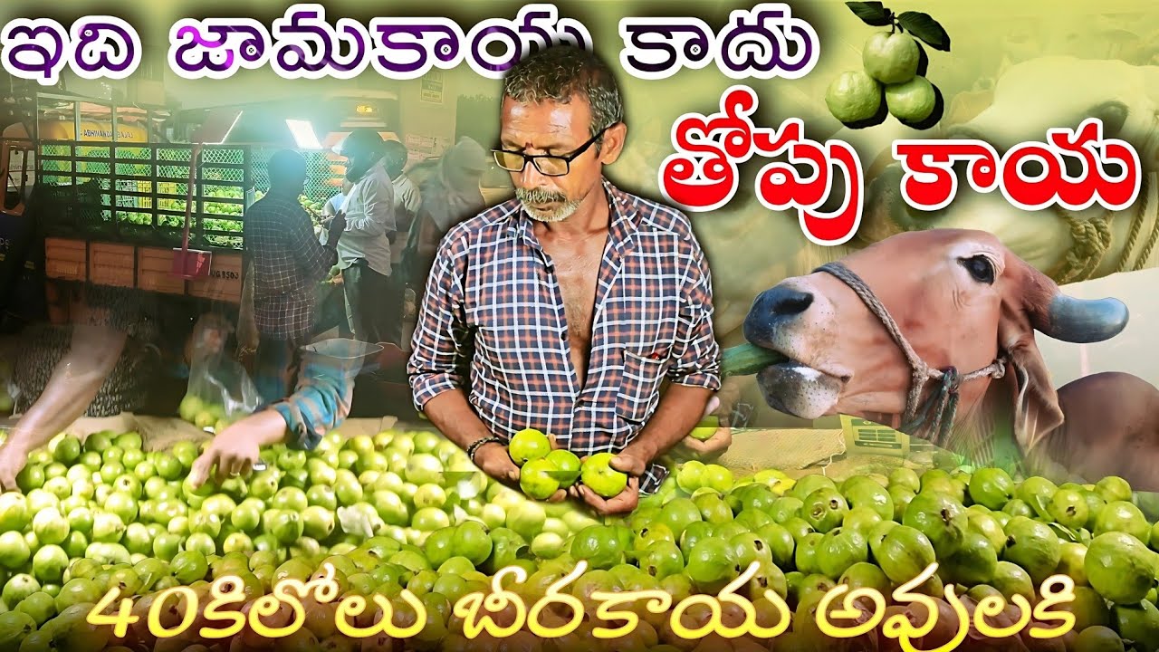 వ్యాపారాన్ని నిలబెట్టిన జామకాయ ❤️‍🩹 || Edhi Yaaparam || Pavan Kumar Undamatla ||