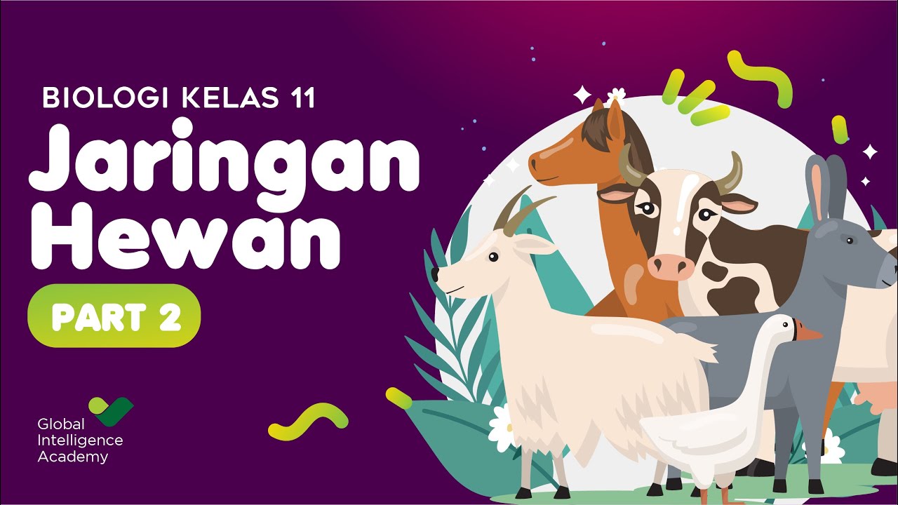 BIOLOGI Kelas 11 - Jaringan Hewan (Part 2) | GIA Academy