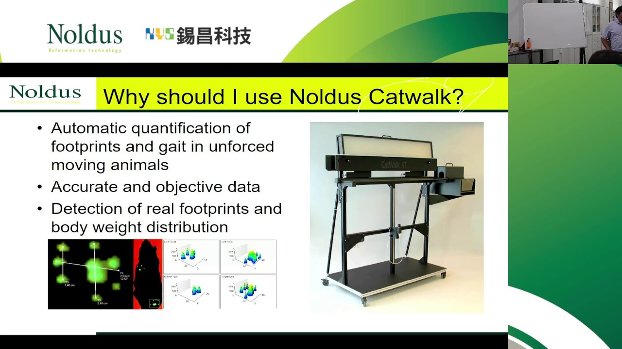 活用全自動老鼠步態分析系統 Noldus Catwalk® XT
