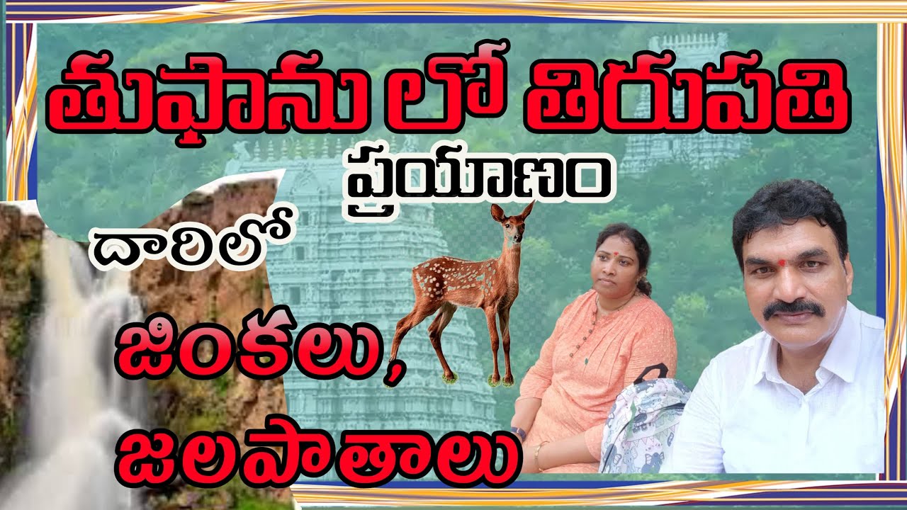 తుఫాన్ లో తిరుపతి ప్రయాణం || అలిపిరి మెట్లు మీదగా || దారిలో జింకలు జలపాతాలు
