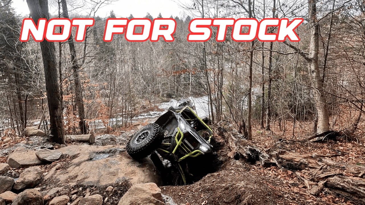 От развлечений до дорогих развлечений | Timbers