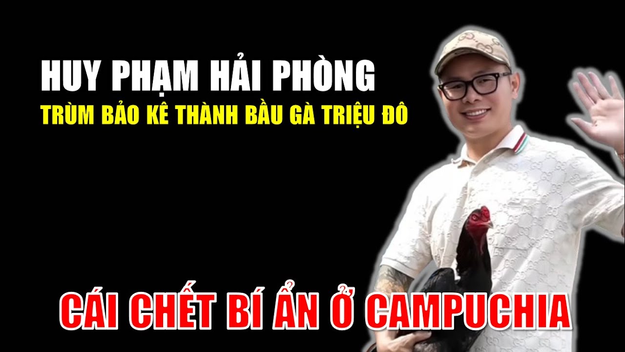 Huy ‘chột’ Hải Phòng: Trùm bảo kê thành bầu gà triệu đô & Cái chết bí ẩn ở Campuchia!