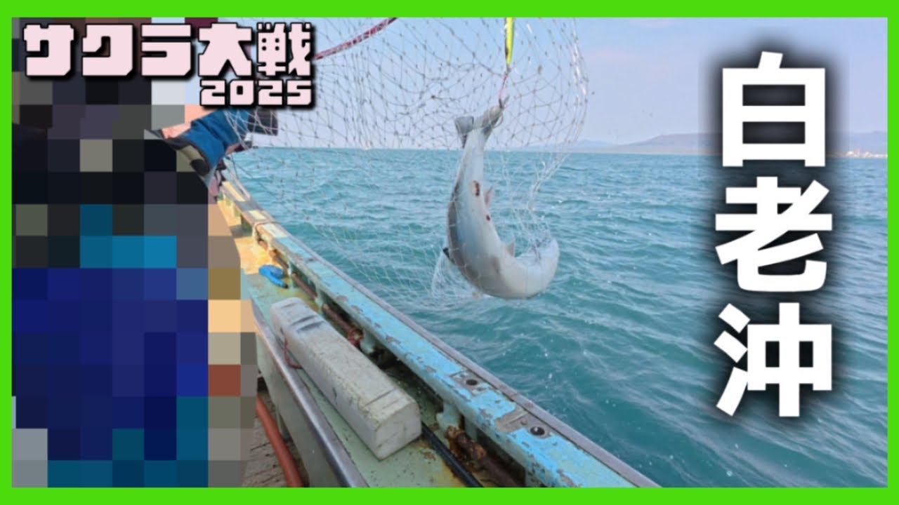 【サクラマスジギング】旅に出た日。