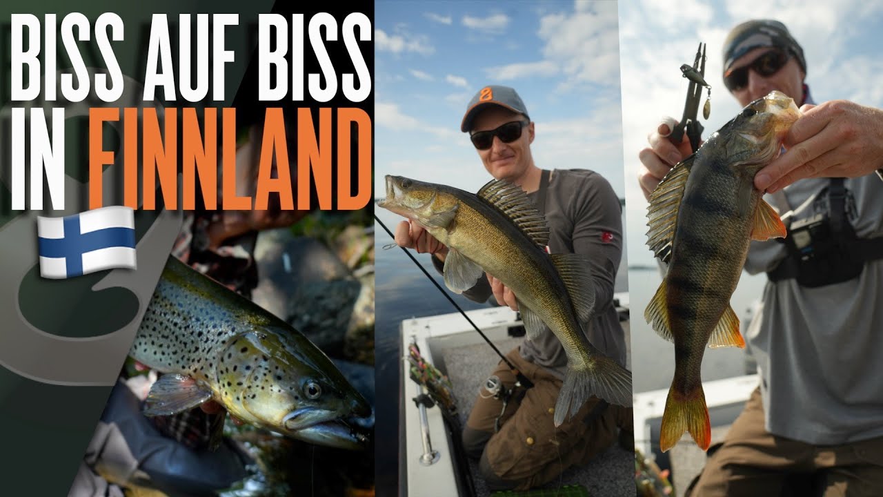 Zander, Barsche, Hechte und Forellen im Osten Finnlands!