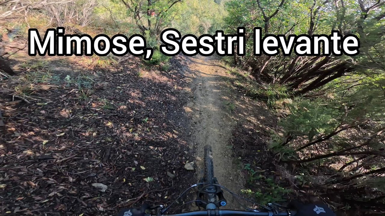 Mimose, Sestri Levante | Prima volta dopo essere caduto due volte su questo trail 