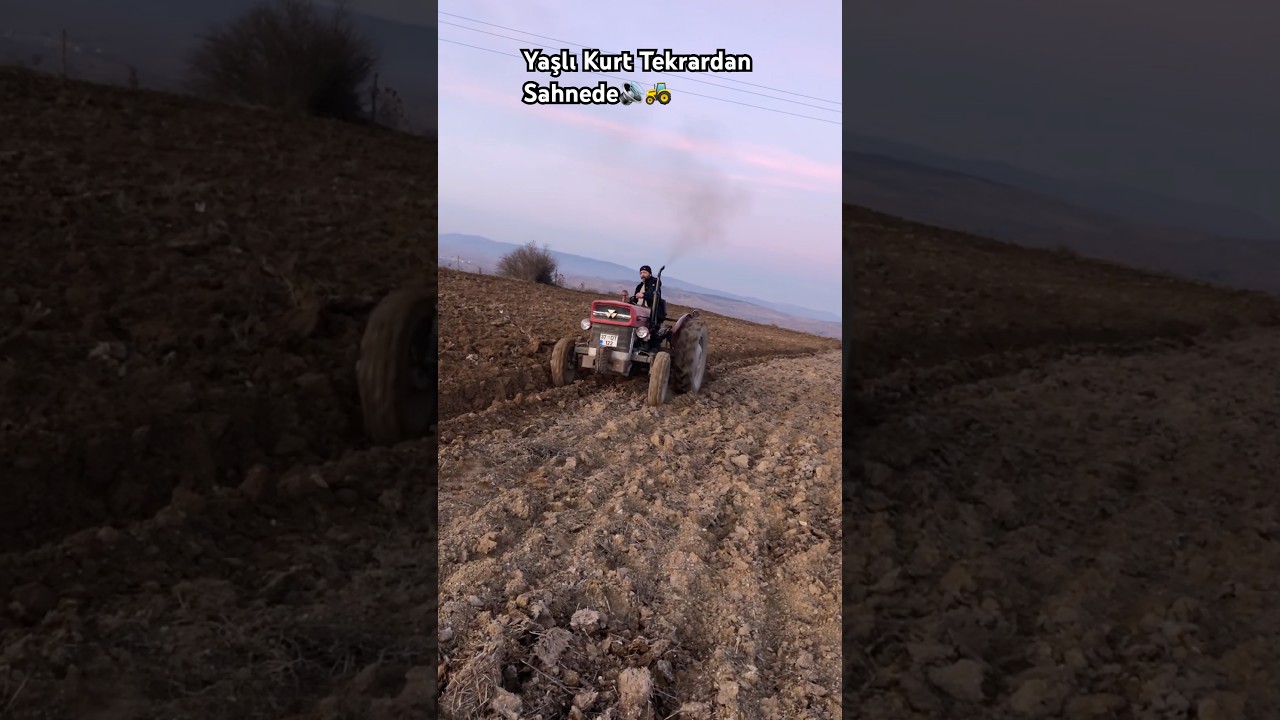 Sizce Pulluk Ka&ccedil; Numara? #trending #farming #youtubeshorts #tarım #keşfet #trendingshorts #mf135
