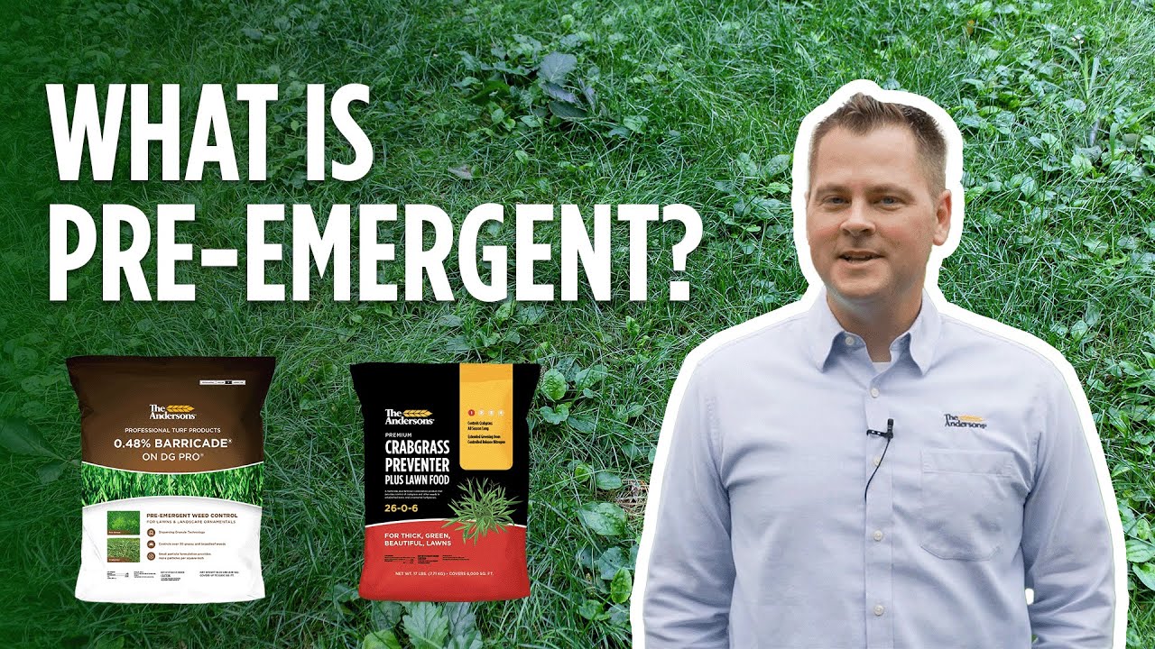 What is Pre-emergent?