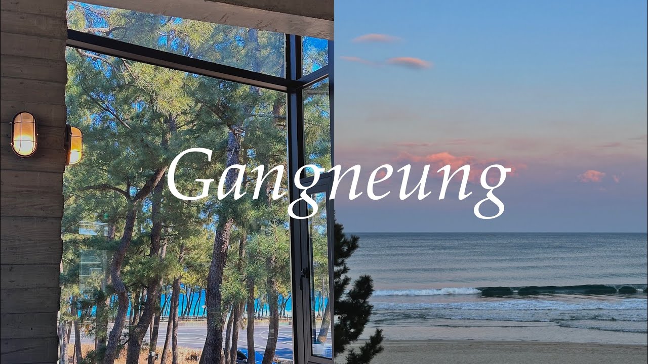 먹고 마시고 바다보고, 여기가 지상낙원🏖️💘 | 스페셜티카페 | 강릉아쿠아리움 | 강릉중앙시장 | 양양카루나 | 휴휴암