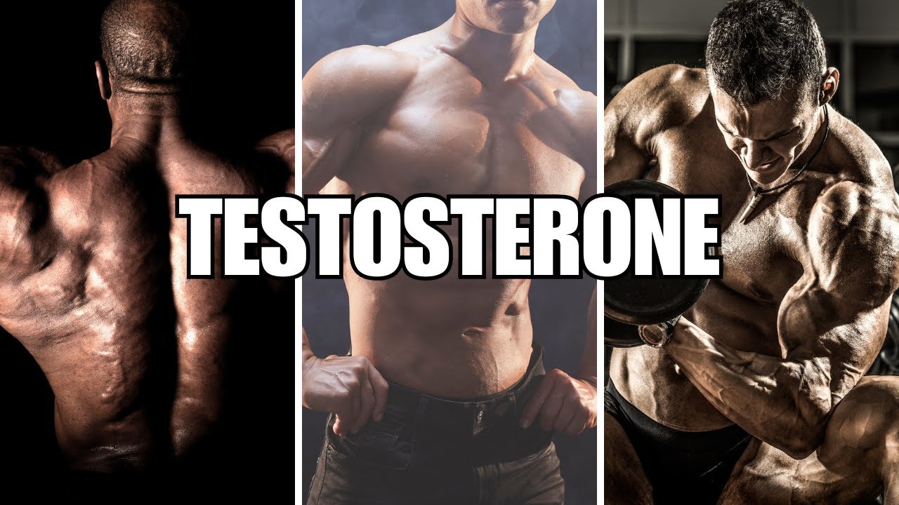 9 Minutes of Testosterone