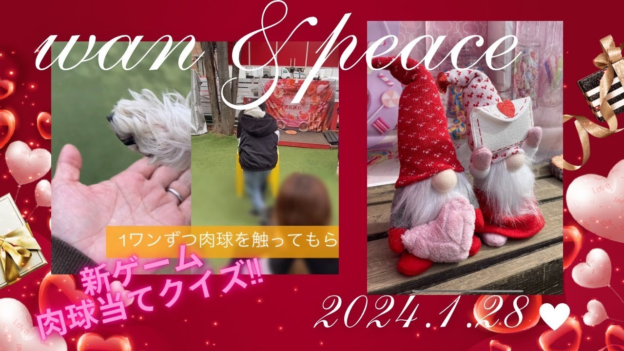 【WAN&PEACE】2024.1.28★しっぽ舖★