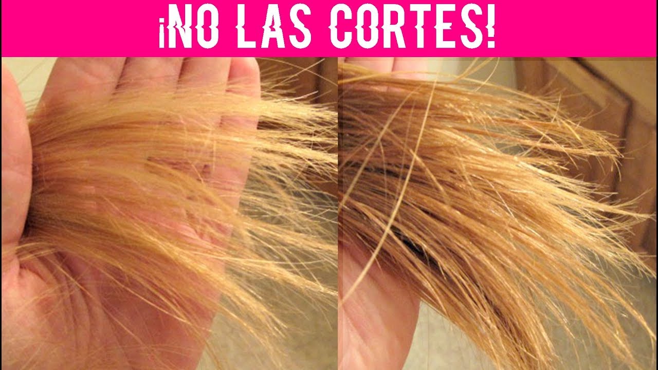 Repara las Puntas Abiertas SIN CORTAR EL CABELLO | Mejores Mascarillas Caseras para el Pelo
