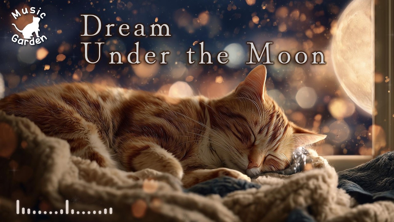 Relaxing Piano BGM 🎹 Dream Under the Moon with a Sleeping Cat | Calm Winter Night 🐱🐾 (3h)