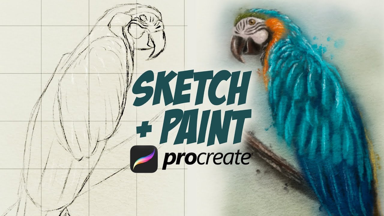 Parrot Water Colour Painting 🦜  - Procreate tutorial 119
