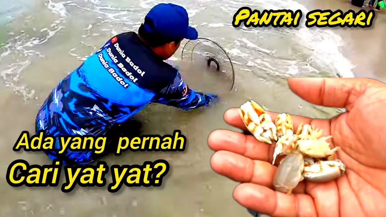 Cari Yat Yat di Pantai Segari Perak #gengdunia