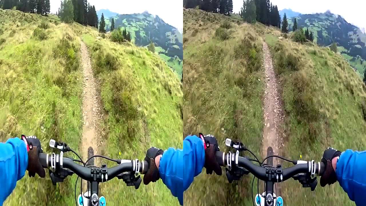 Test Schwalbe Hans Dampf