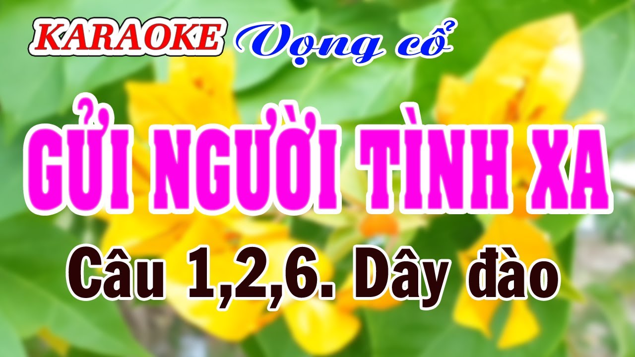 Karaoke _ Gửi Người Tình Xa _ Dây Đào