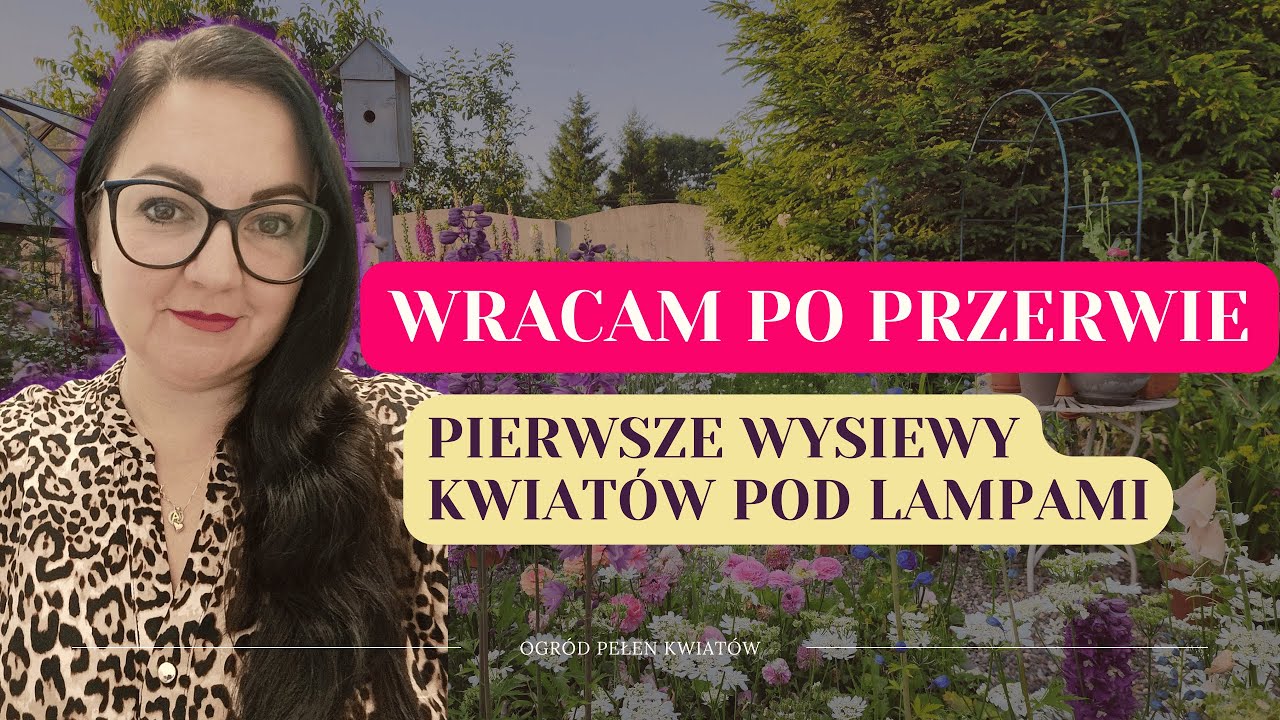 Zniknęłam na trochę… czas w końcu wrócić. Pierwsze wysiewy kwiatów pod lampami.