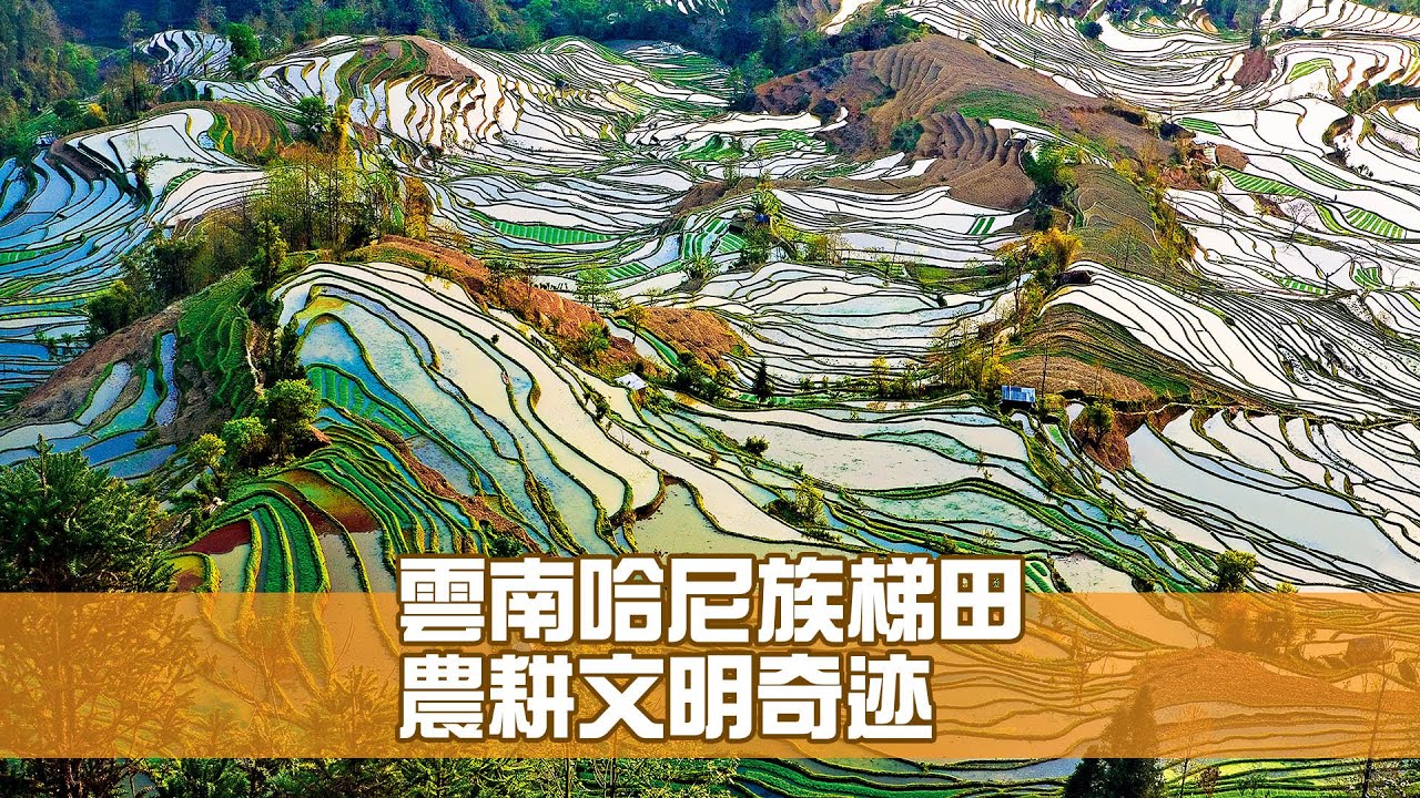 《江山多姿采》第28集：雲南哈尼族梯田 農耕文明奇迹