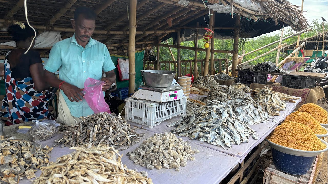 Velankanni Dry Fish Variety Shop #dryfish #velankanni #velankannichurch #trending
