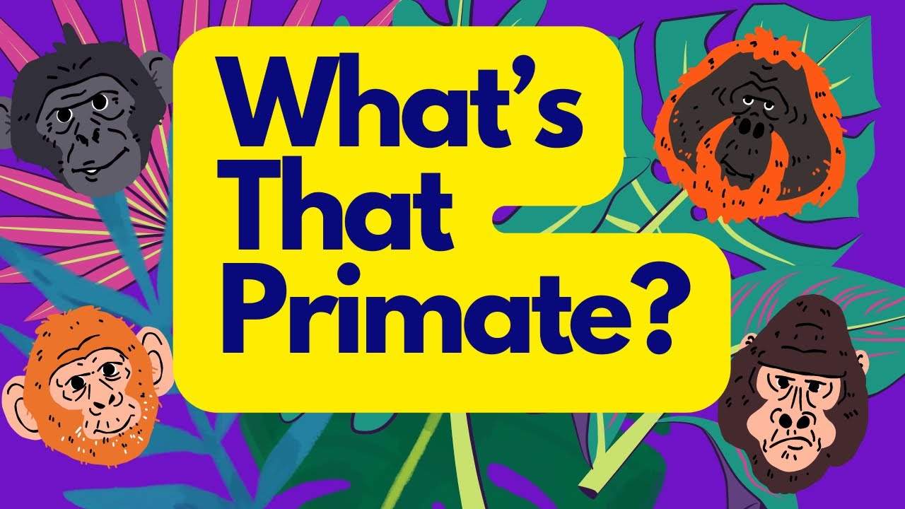 Unbelievable PRIMATE Reveals! Name the Animal.