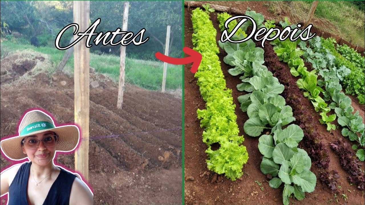Como fazer uma horta do zero - Prepara&ccedil;&atilde;o do solo + dicas.