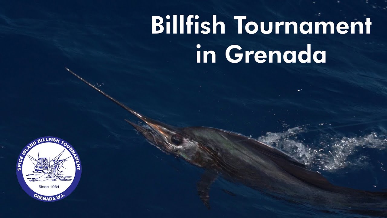 Spice Island Billfish Tournament 2020