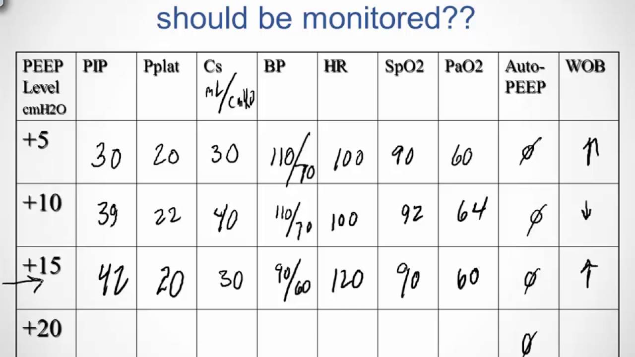 RSPT 2335 Module B 1a Part II