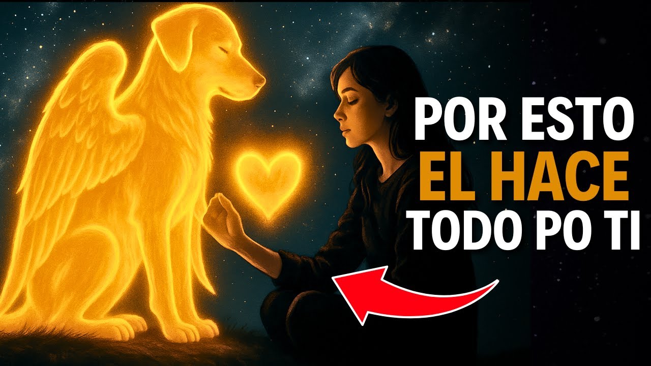 Si Tu Perro HACE ESTO, Significa que tienes un ANGEL en tu vida
