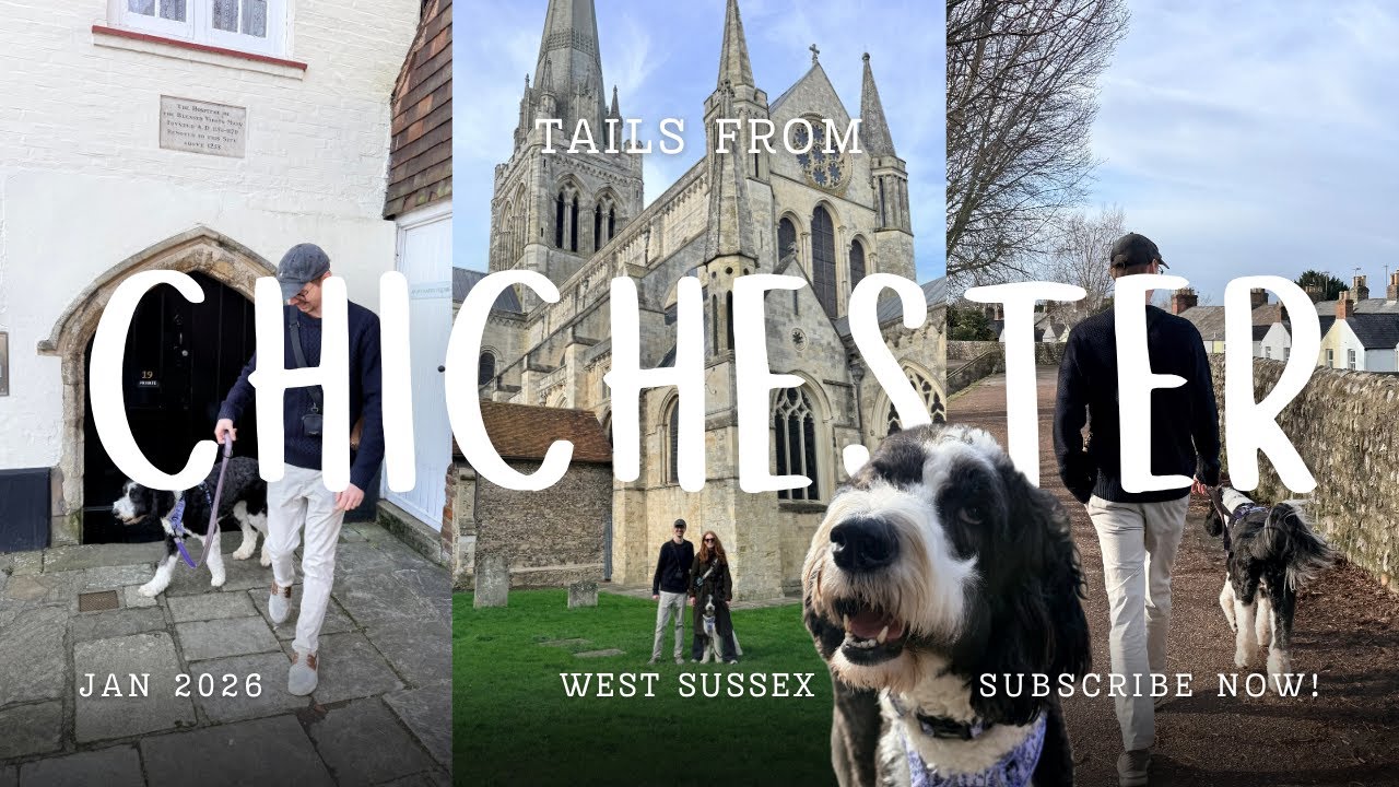 Tails from Chichester 🐾 | A Sheepadoodle in Sussex