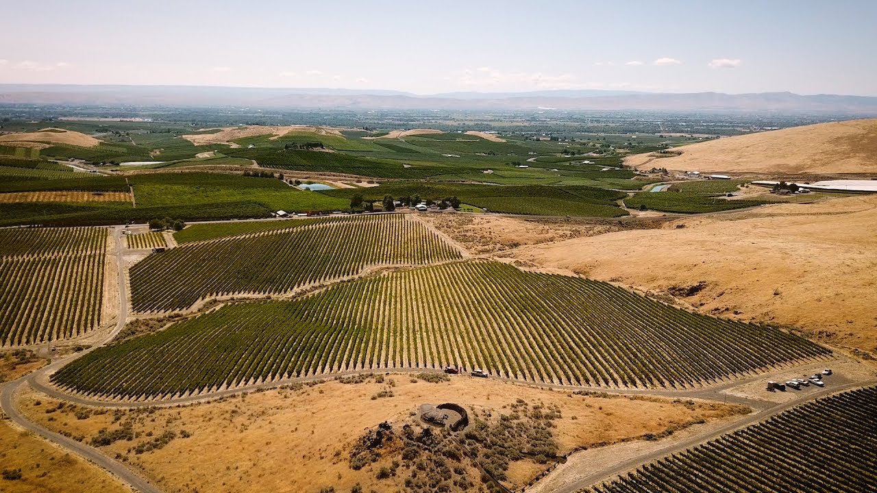 Maryhill Vineyard Series Tour: Elephant Mountain, Rattlesnake Hills
