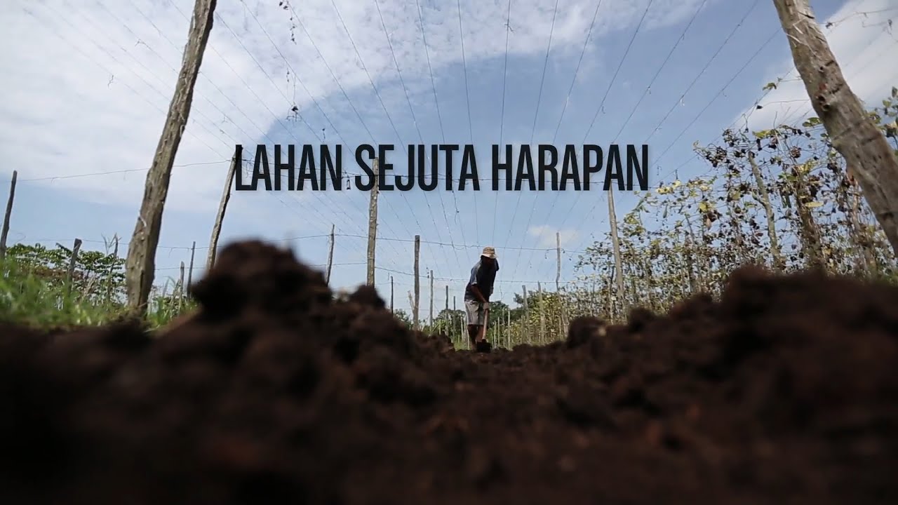 DOKUMENTER LAHAN SEJUTA HARAPAN