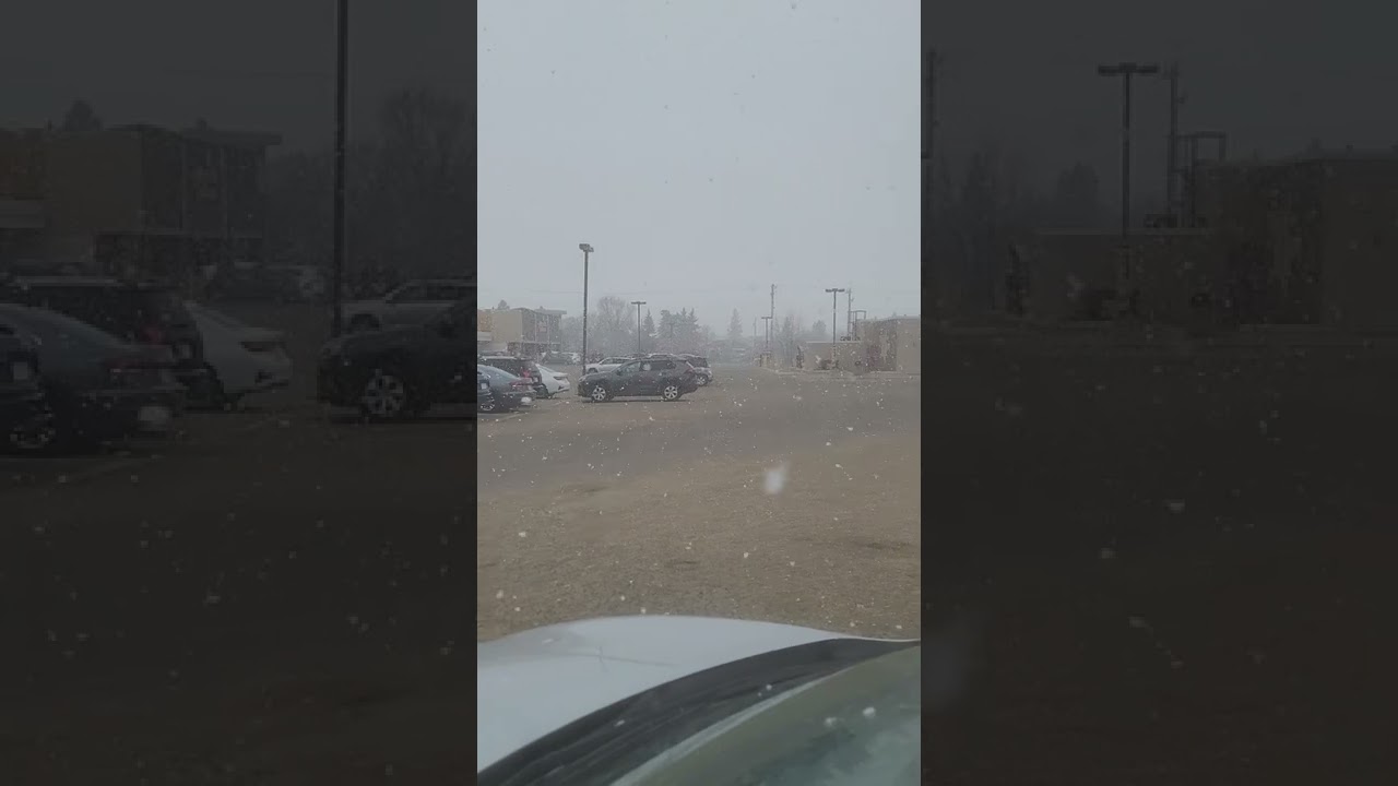 Snowfall in April / Indian in Canada / International students / 