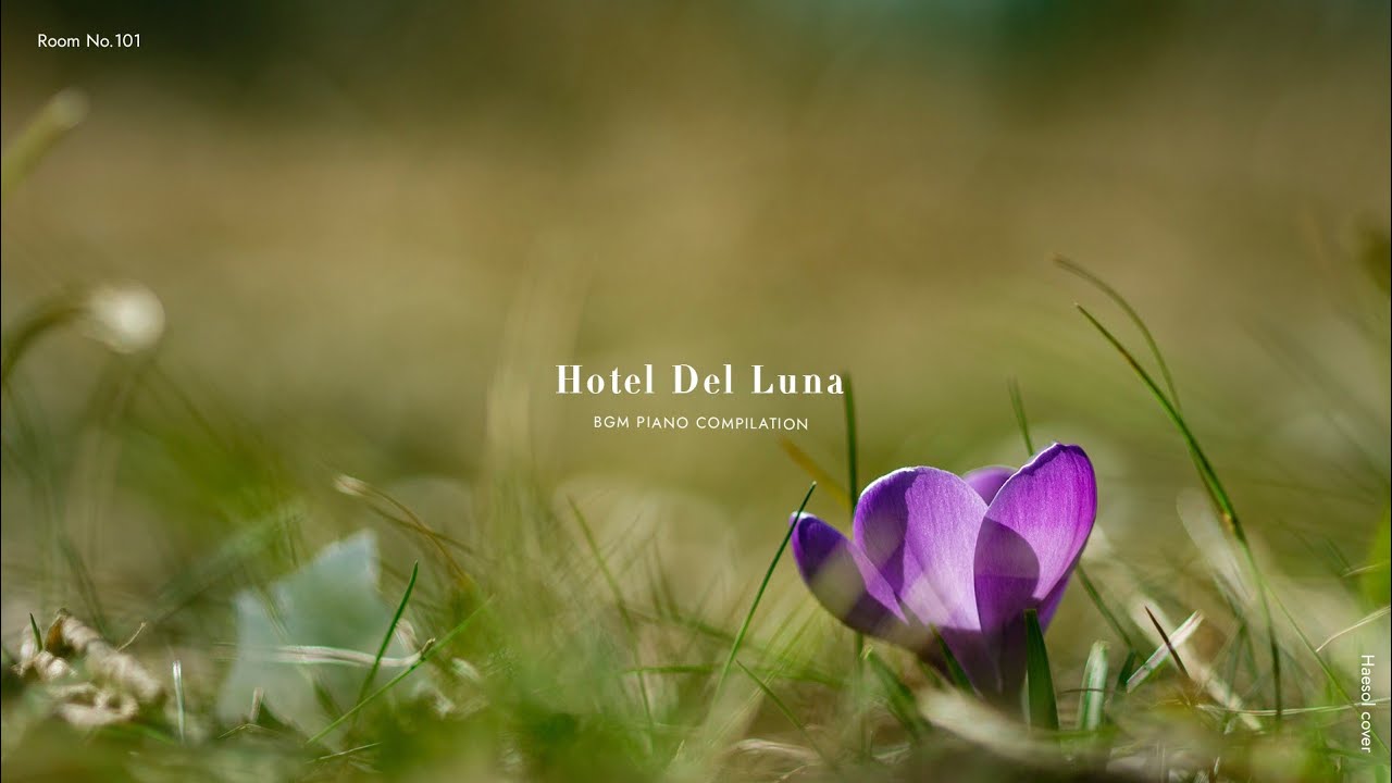 [호텔 델루나 Hotel Del Luna] BGM 모음 | Piano cover