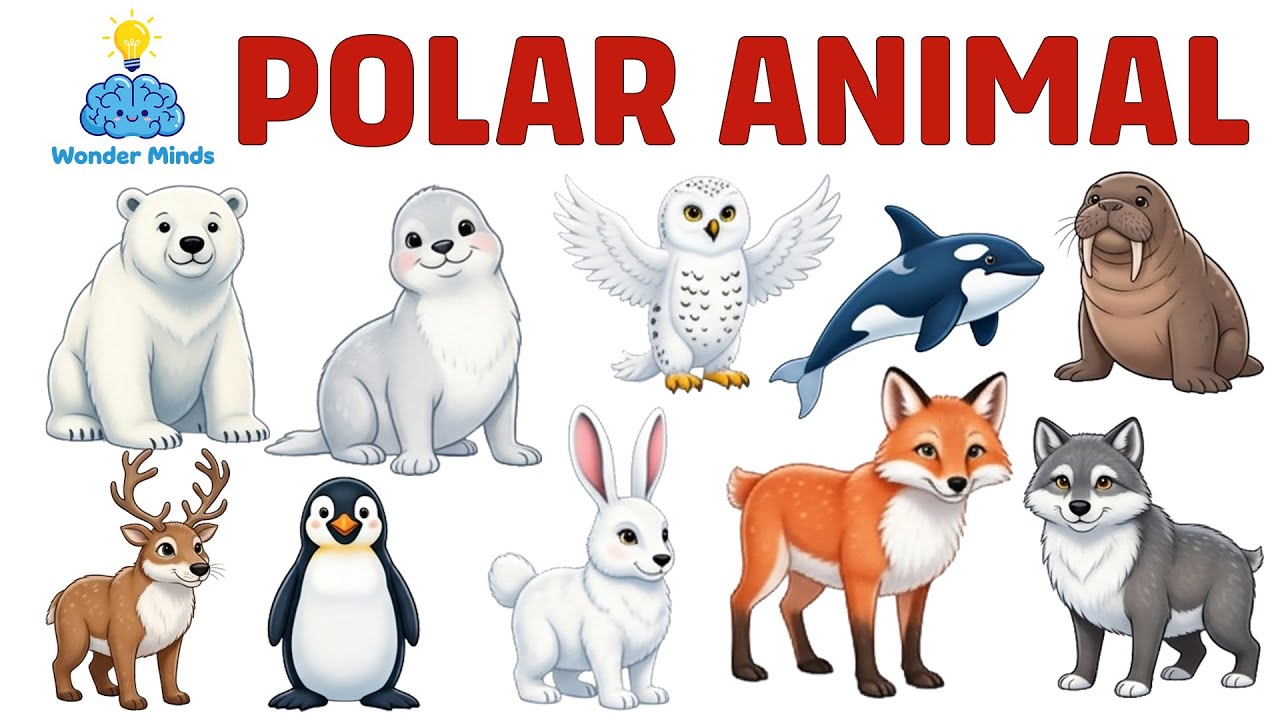 Polar Animal Names for Kids ❄️ | Learn Arctic Animals with Fun Facts 