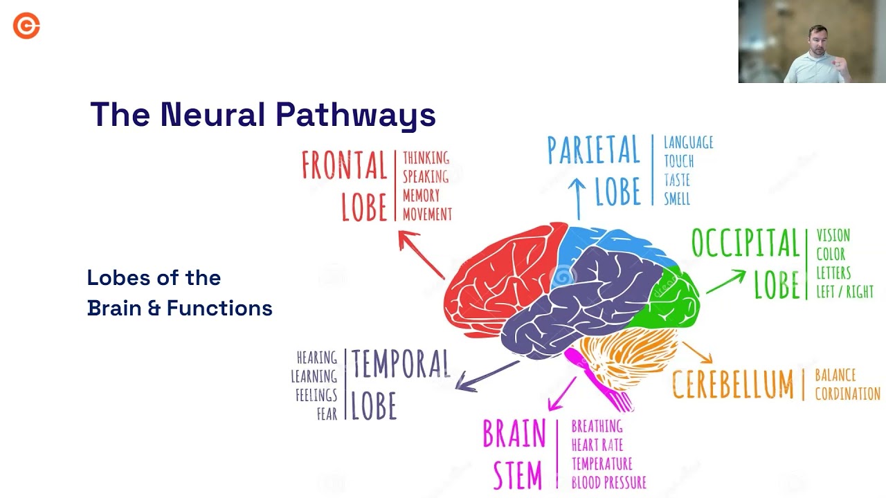 NeuroAthletic Training - Connection of Body and Mind in Training
