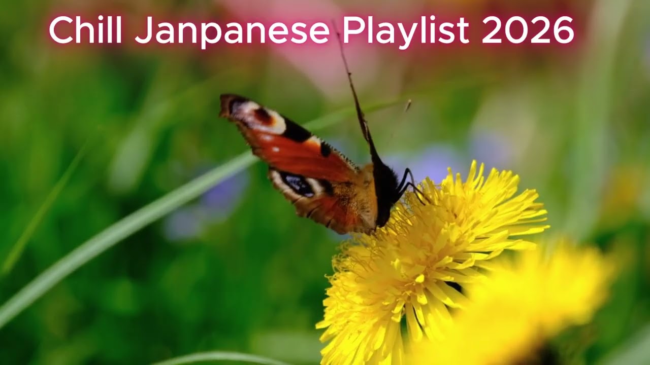 Chill japanese Song Playlist 02 Not every love needs a goodbye.#chillmusic