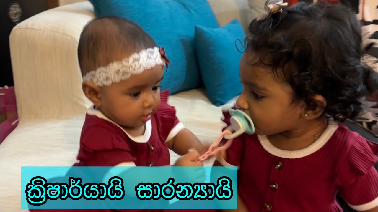සාරන්&zwj;යා සහ ක්&zwj;රිෂාර්යා | Saranya and Krisharya | akki and nangi | priyasads