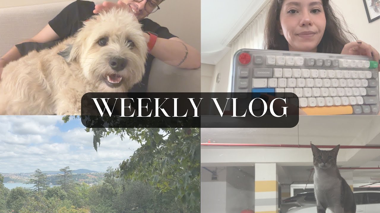Layoff, İngilizce öğrenmek, yıllık bütçe, kurumsal | Weekly Vlog #3