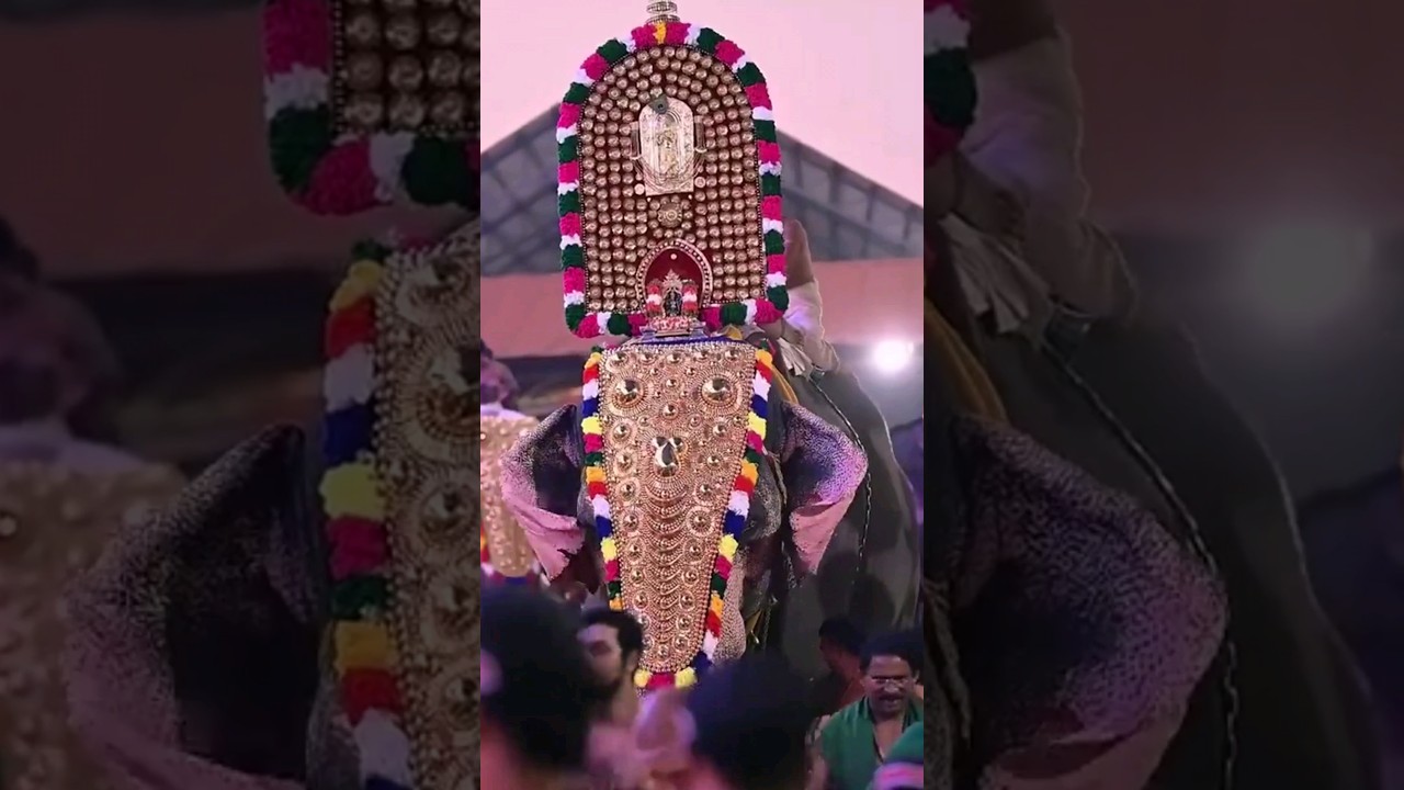 Guruvayoor Arattu - A Spectacular Temple Festival of KeralaVideo #guruvayoor_visesham gur#elephant