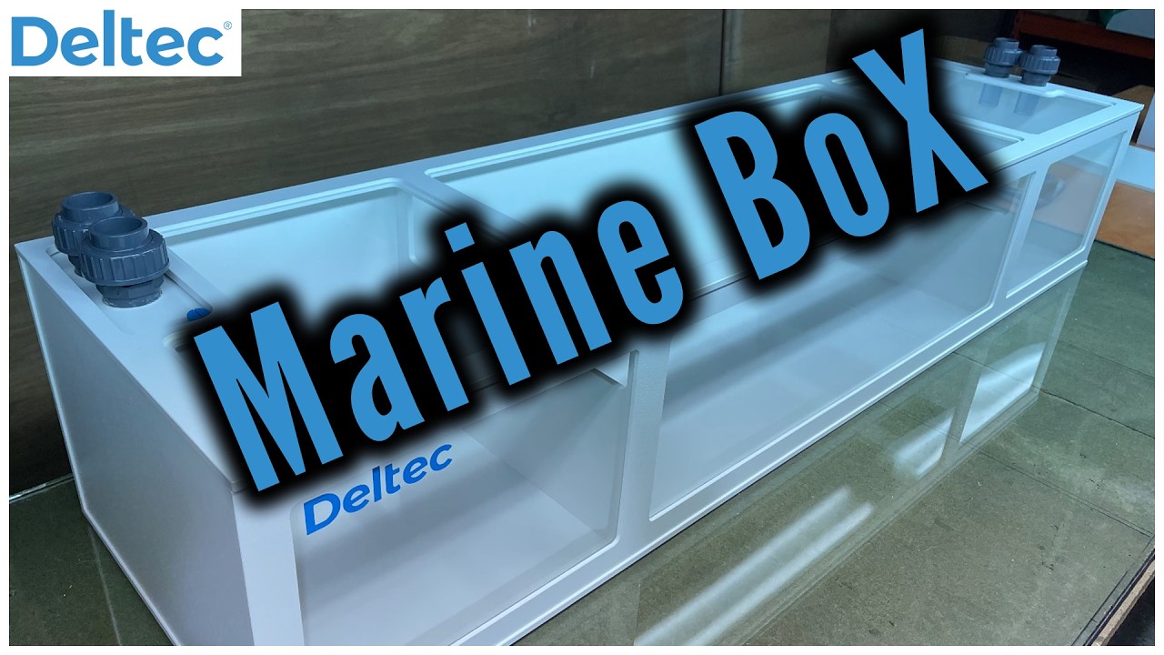 Das bessere Filterbecken - Die Deltec Marine BoX | Deltec