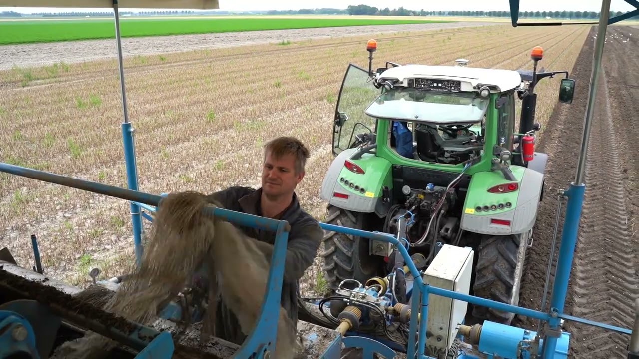 Loonbedrijf Kok Bovenkarspel, tulpen rooien, 2021, Lelystadt.