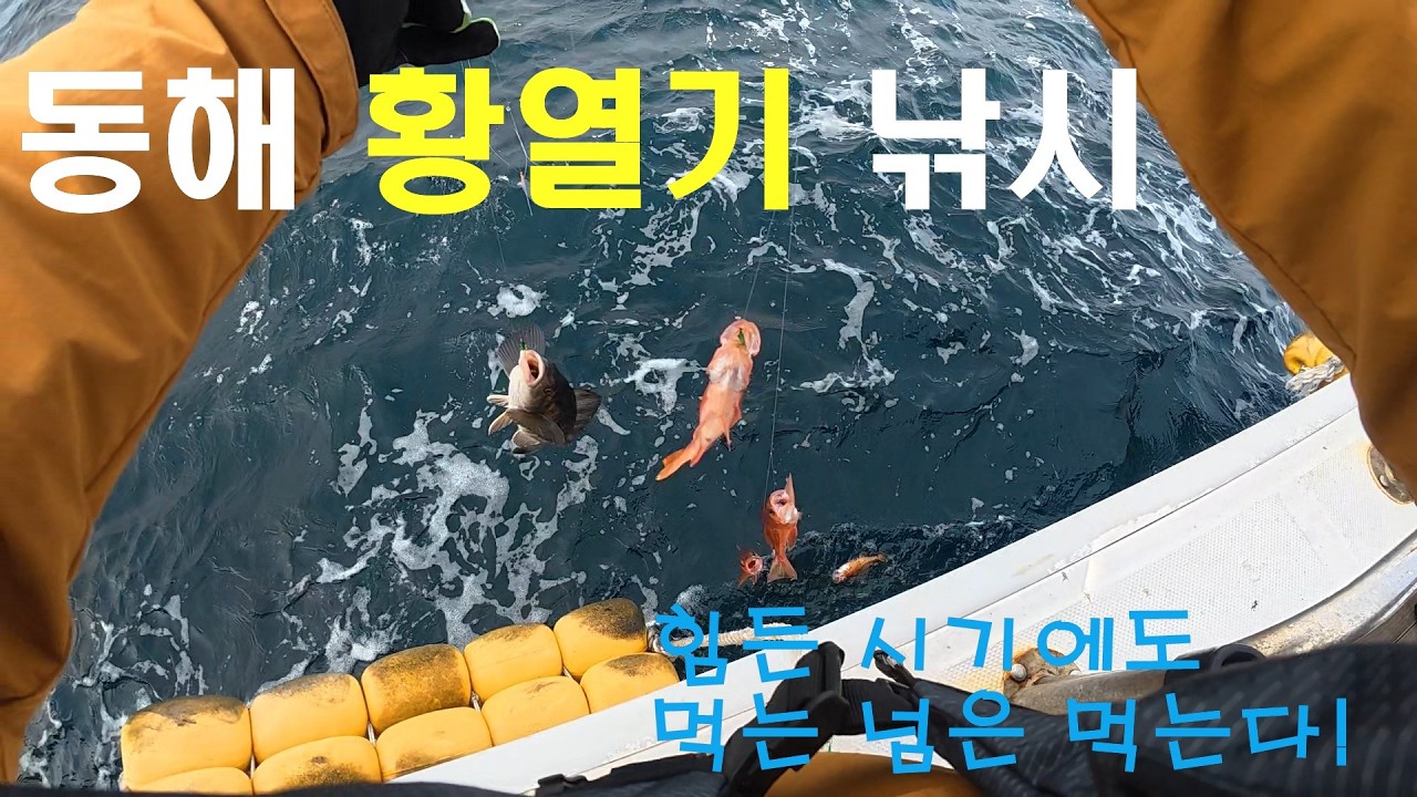 동해로 황열기를 잡으러 가보자Go~ 손님고기가 가득~(와따호피싱)