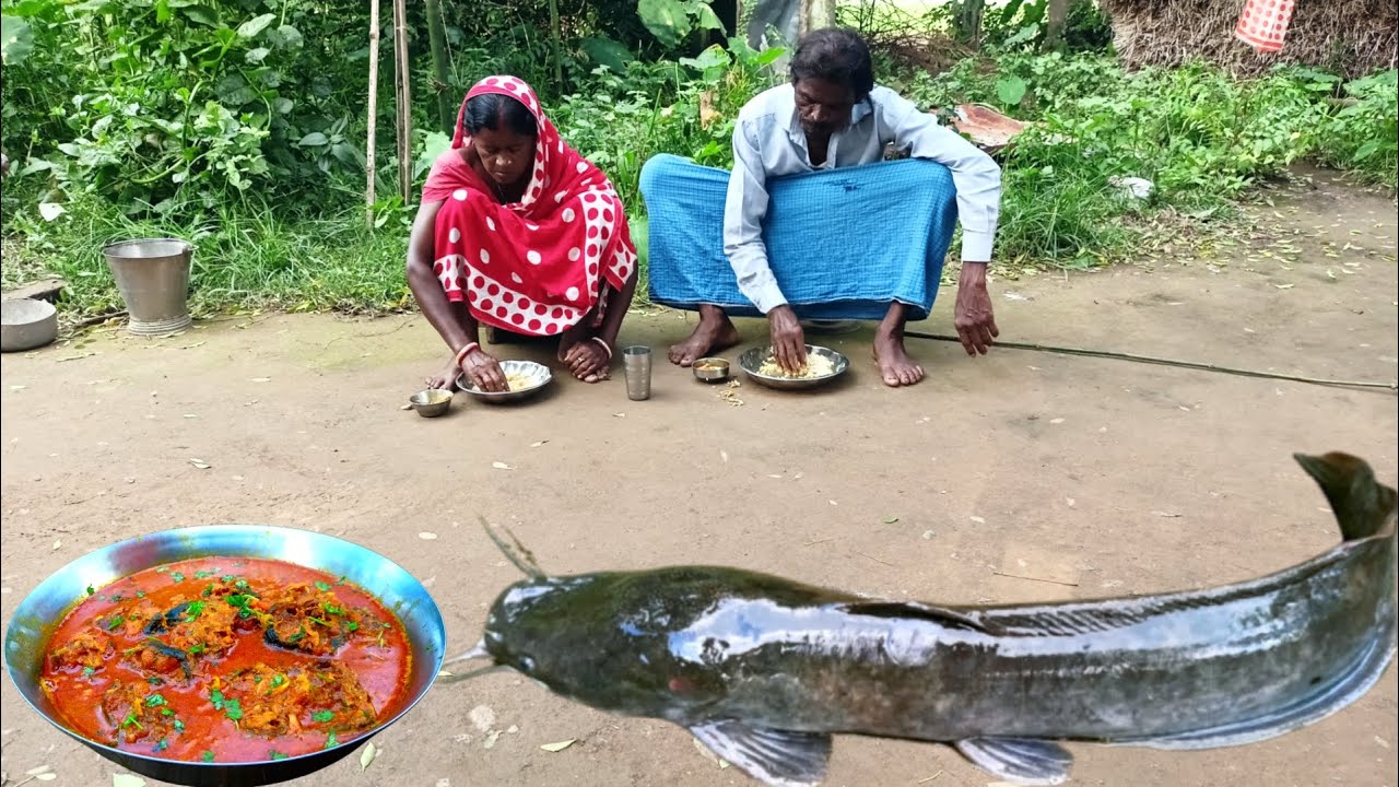 hybrid MAGUR FISH curry delicious recipe|cooking and eating catfish tribal family|magur maach recipe