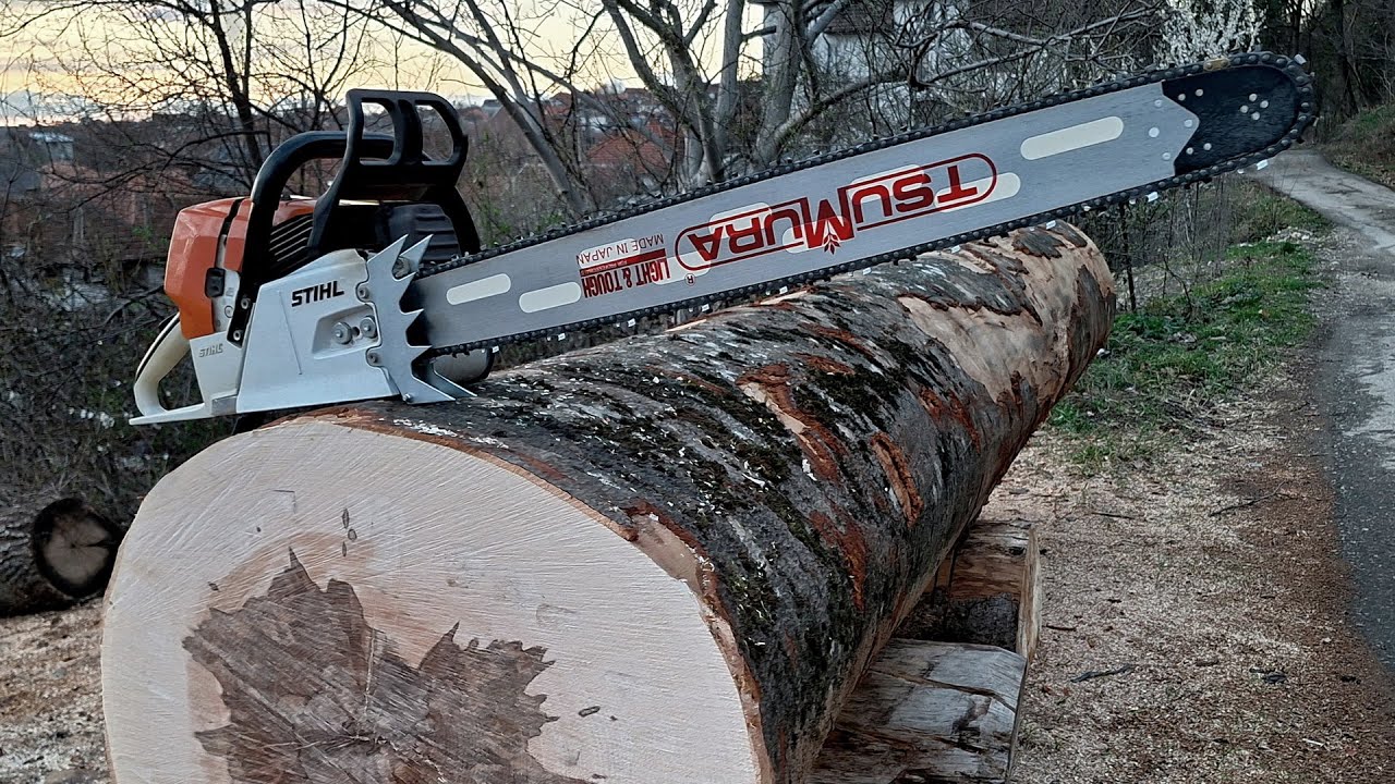 A storm and Stihl MS 461 ready to work (80cm bar test)