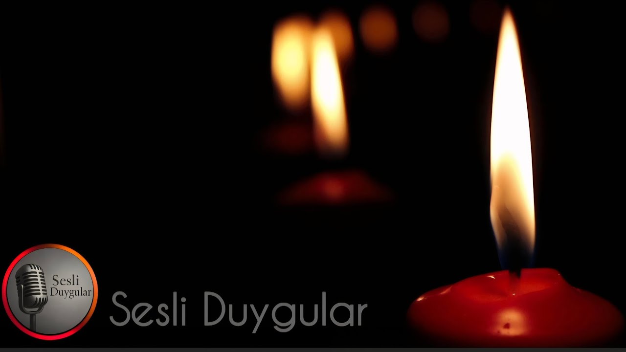 Roza Bölüm 7 Dönemin En Derin Duygusal Şiiri #şiir #şiirdinle #şiirdinletisi 