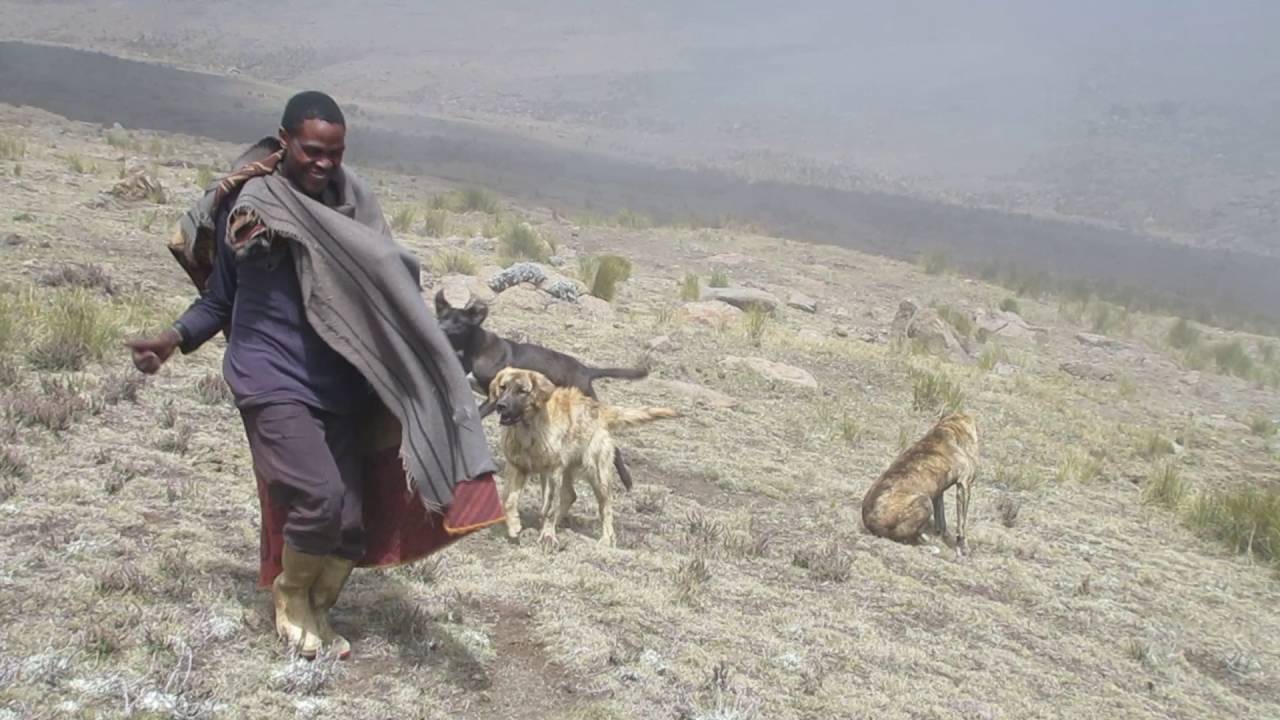 Justice Motsepe above Bannerman Pass