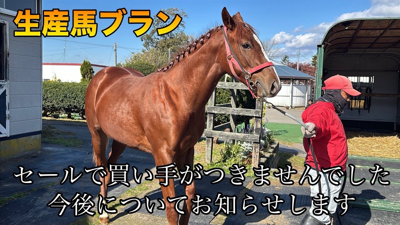 【ブランの今後について】セールでは買い手がつかず…