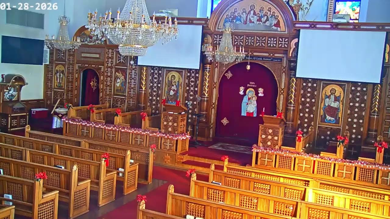 St Mary Chicago Live Stream