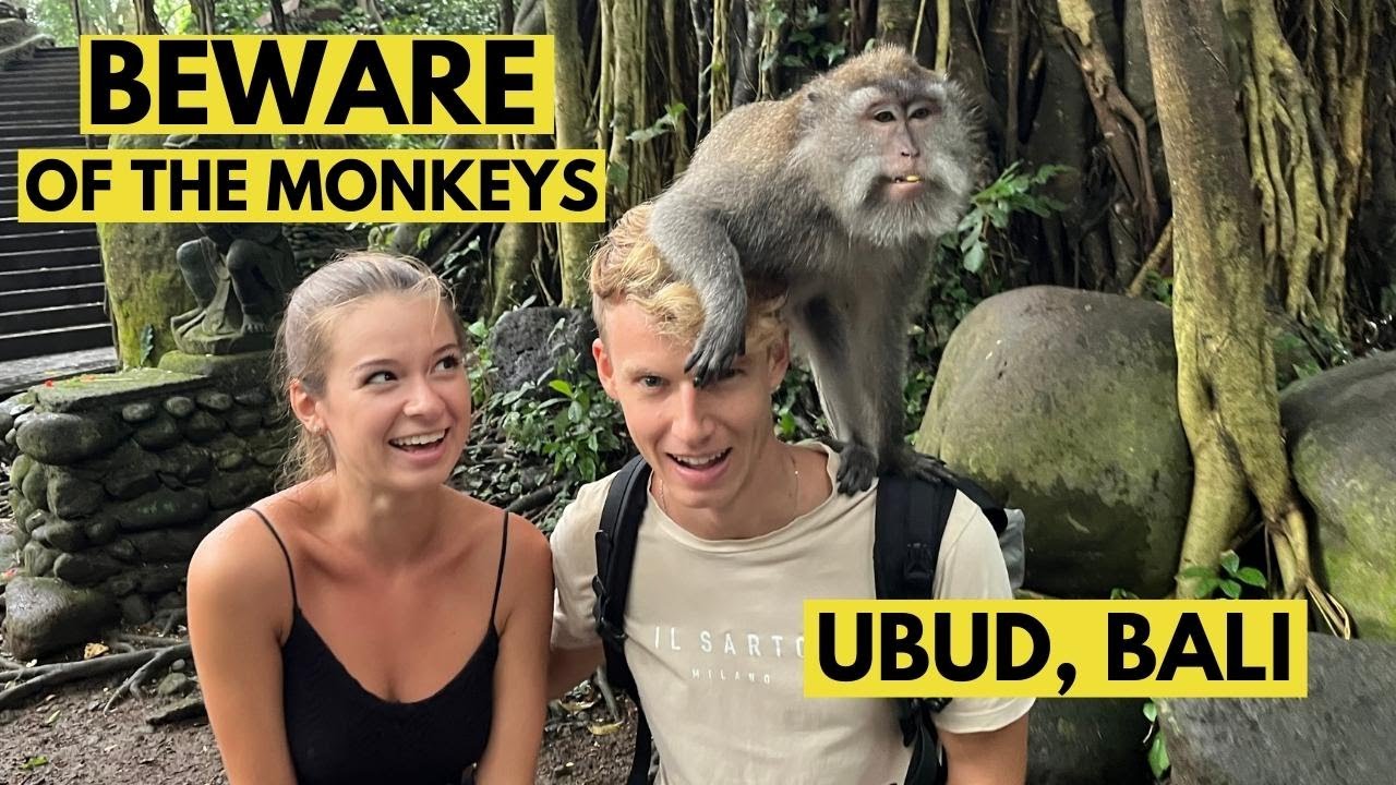 BEST 24 hours in UBUD, BALI 🇮🇩