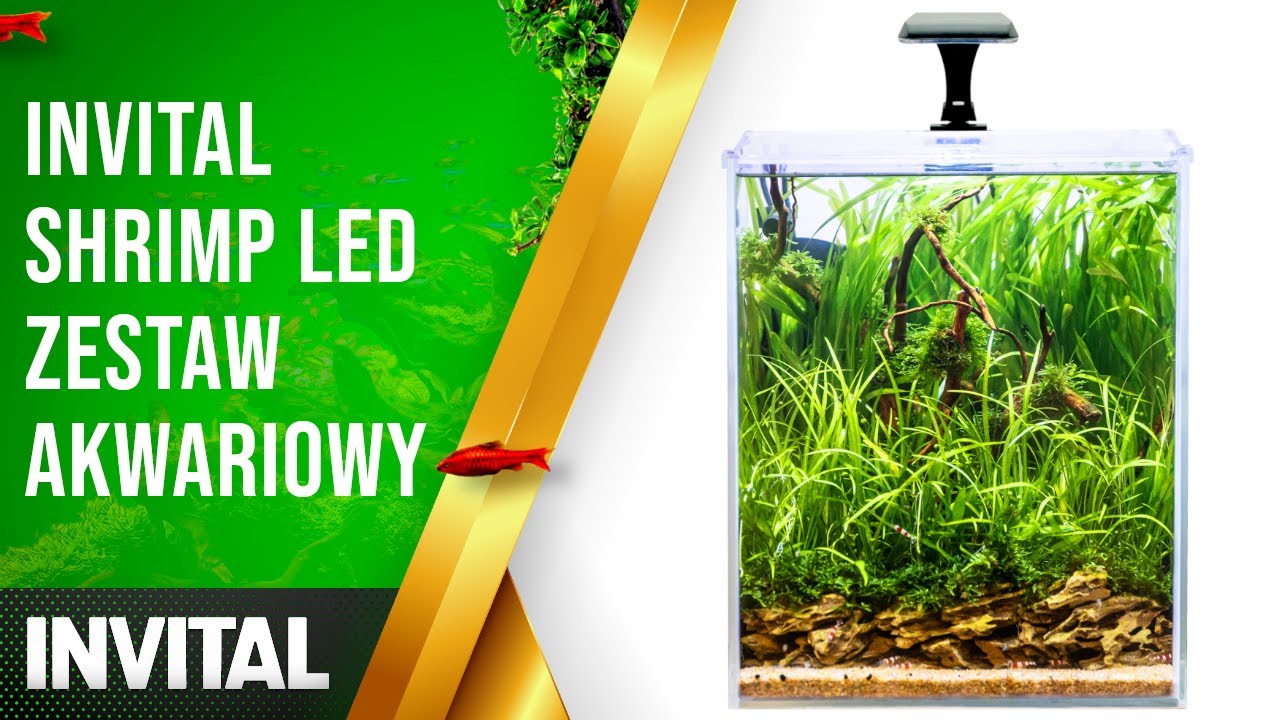 INVITAL Shrimp LED zestaw akwariowy | INVITAL